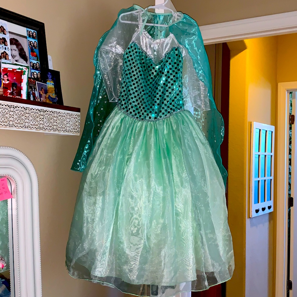 Custom Frozen Elsa Costume